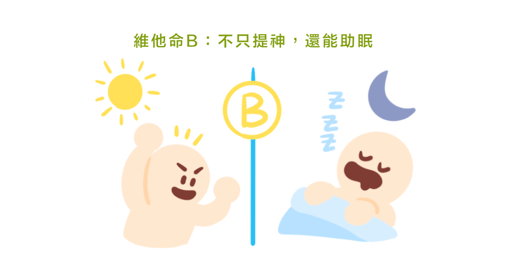 助眠食物大集合!六大助眠營養素:鈣、鎂、維生素B、維生素C、維生素D、Omega-3 - Bestmade 人學院