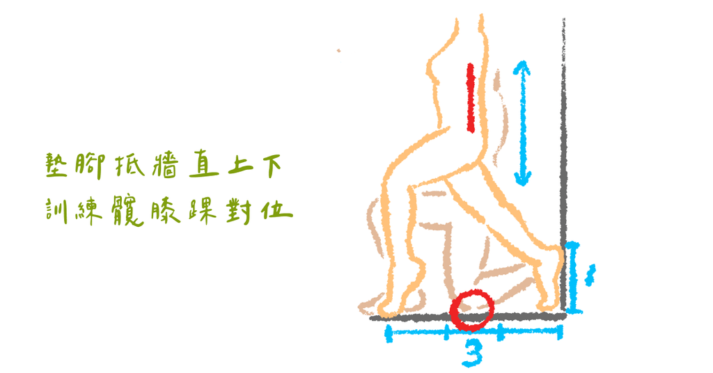 膝蓋內側痛的元凶及解法(四):髖膝踝對位訓練 - Bestmade 人學院
