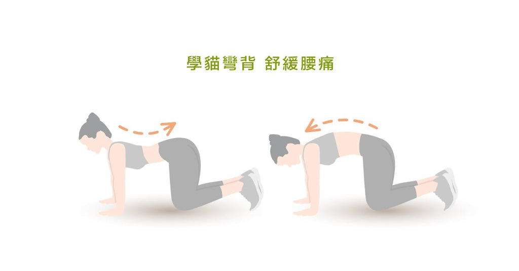 腰痛總是好不了？改善腰痛的4個自救運動 - Bestmade 人學院