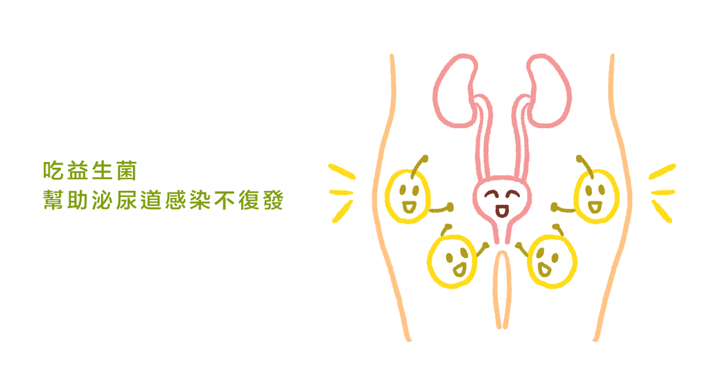 預防泌尿道感染，除了抗生素，益生菌也能幫忙 - Bestmade 人學院