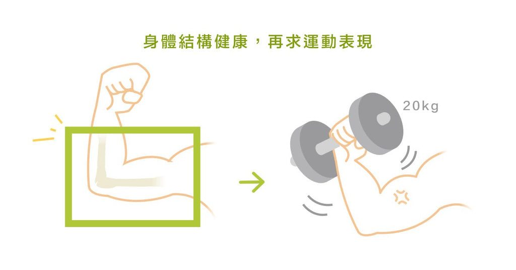 體能訓練師這麼說：身體組成能力就像堆積木 - Bestmade 人學院