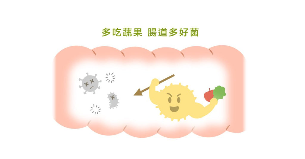 飲食助攻，把吃進去的益生菌越養越多 - Bestmade 人學院