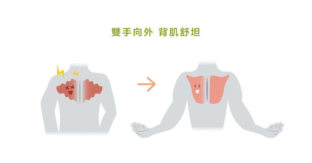 如何快速解決腰痠背痛？這招幫你恢復肌肉彈性！ - Bestmade 人學院