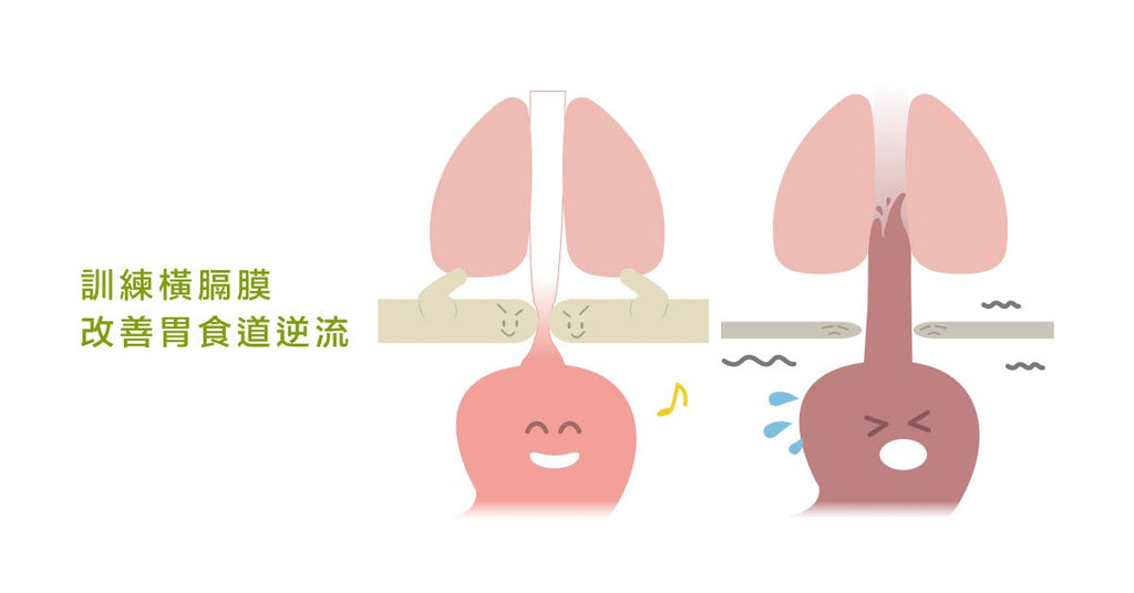 常常胃食道逆流嗎？試試看橫膈呼吸法！ - Bestmade 人學院