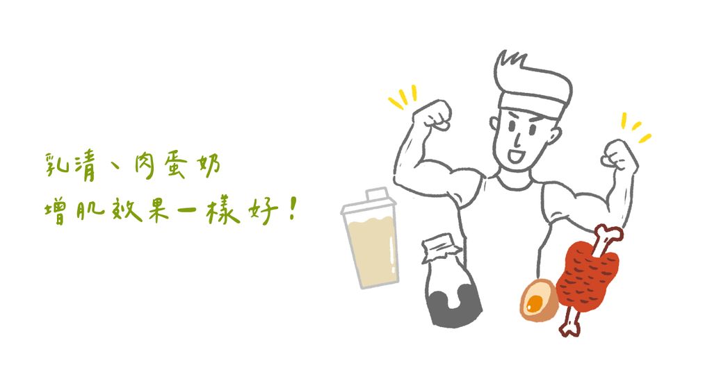 攝取乳清和其他動物性肉品，誰的增肌效果較好？ - Bestmade 人學院