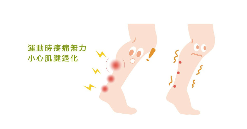 阿基里斯腱退化性病變的最佳解法－運動介入 - Bestmade 人學院