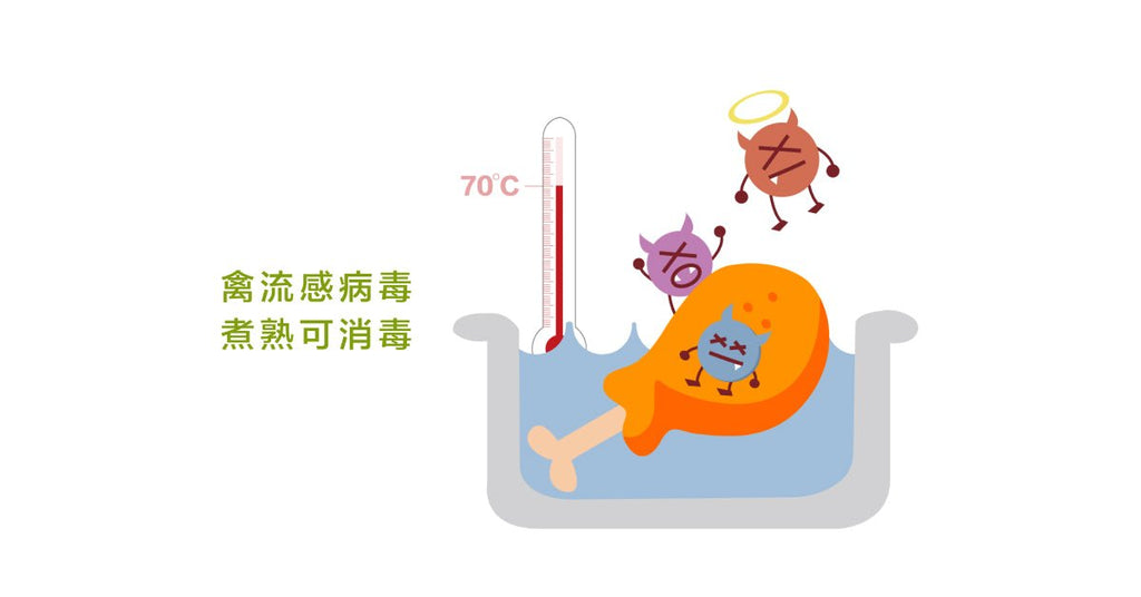 禽流感時吃雞肉沒問題嗎？ - Bestmade 人學院